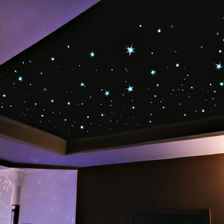 fiber optic stars tray ceiling