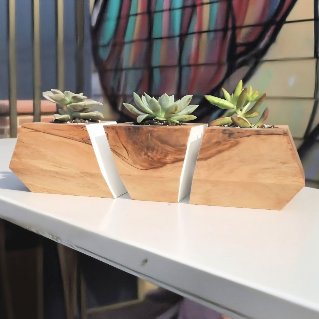 free Succulent Planter woodworking plan