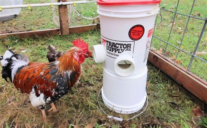 homemade automatic chicken feeder