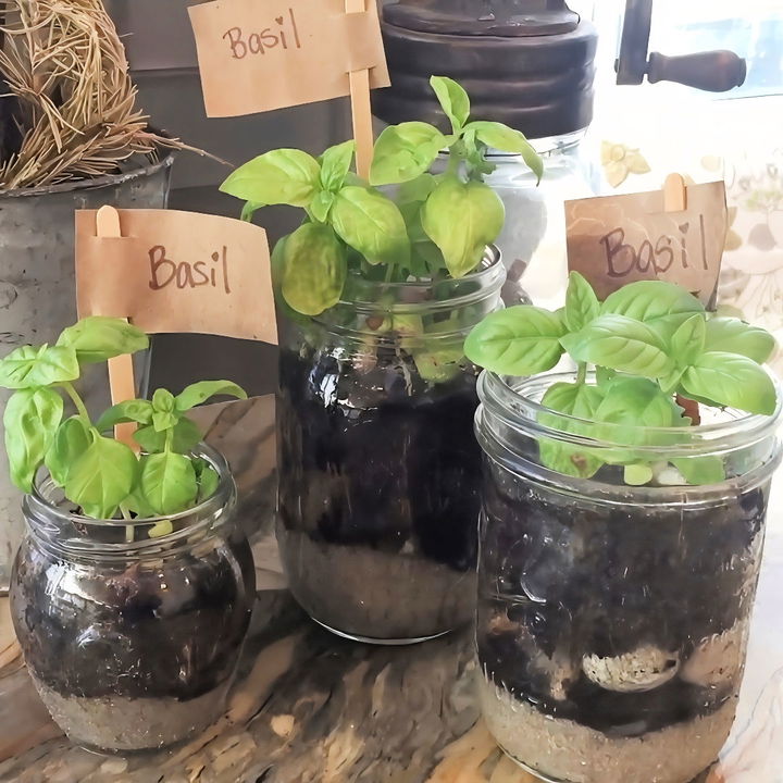 homemade mason jar herb garden