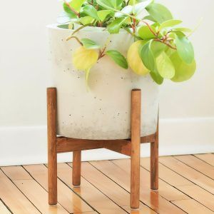 homemade wooden plant stand