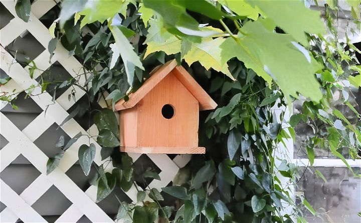 how to make a birdhouse at home