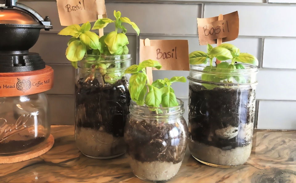 how to make a mason jar herb garden