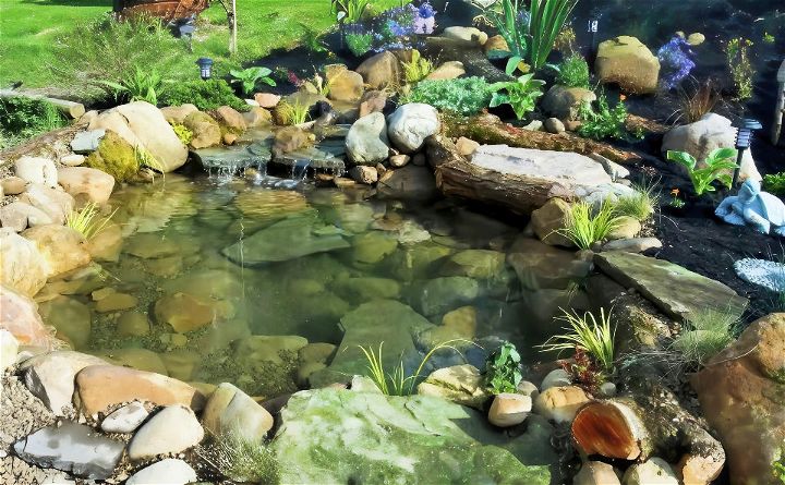 how to make an ecosystem pond