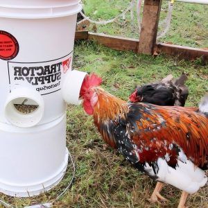making an automatic chicken feeder