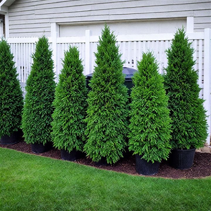 plant screened areas to hide garbage cans