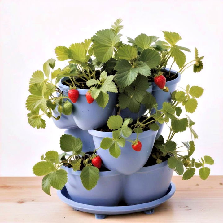 self watering planter for busy gardeners