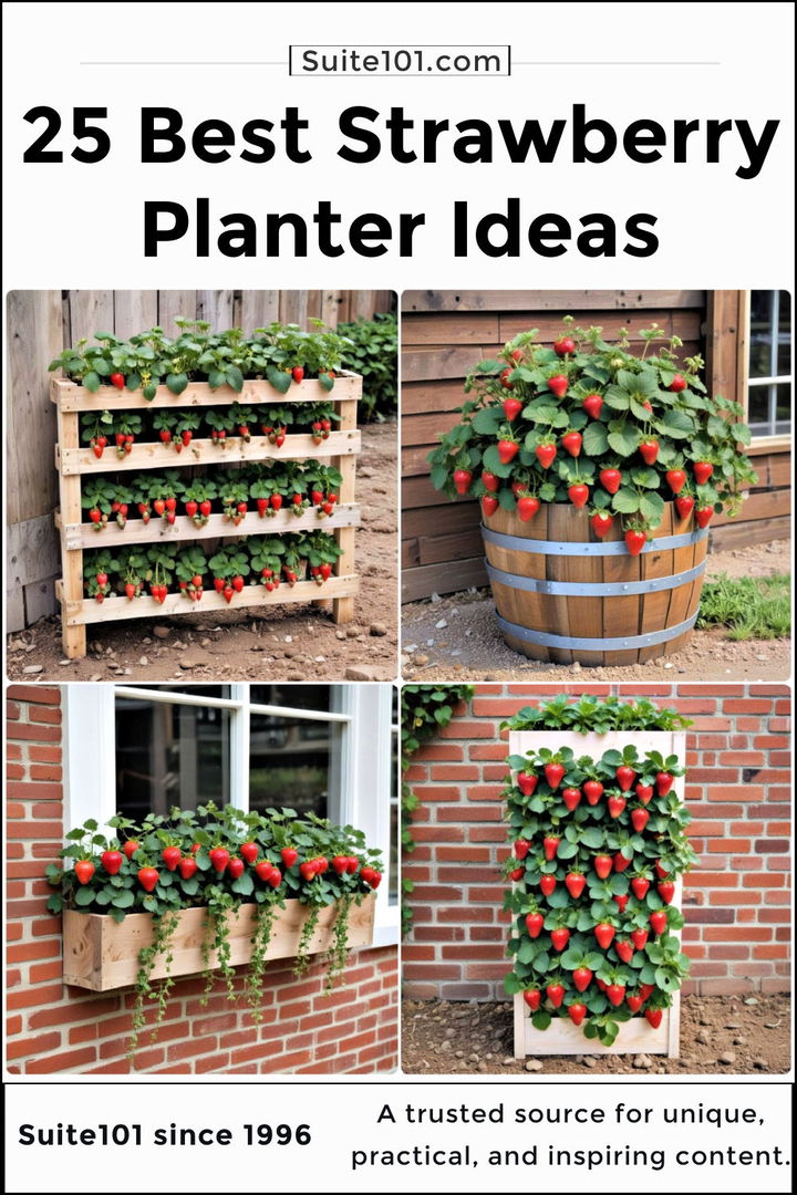 strawberry planter ideas to copy