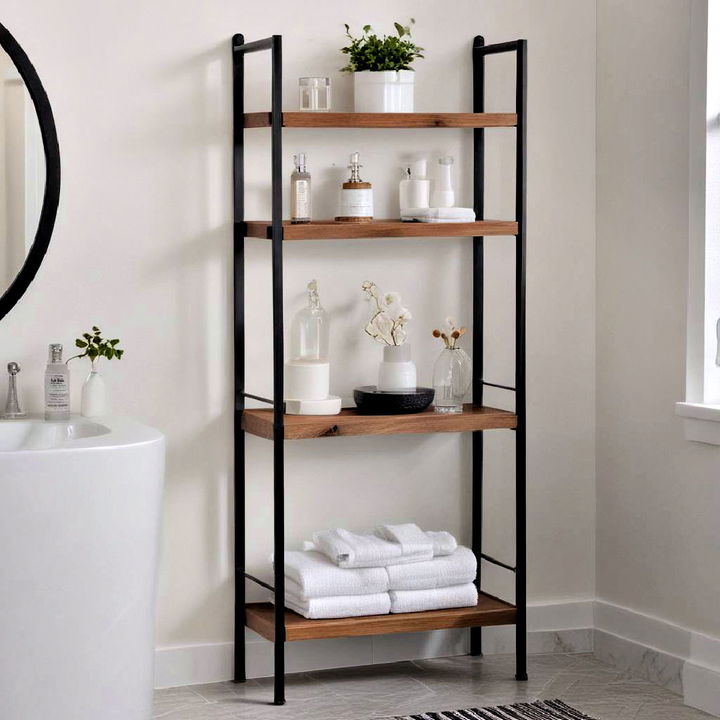 unique modern ladder shelves