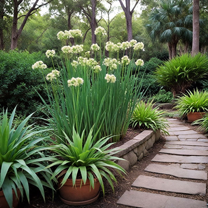 airy papyrus tropical landscape