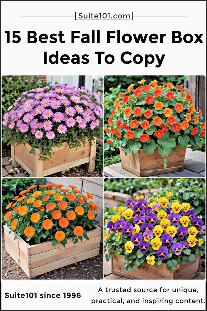 best fall flower box ideas