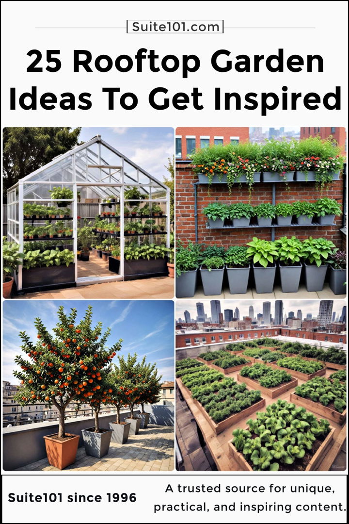 best rooftop garden ideas