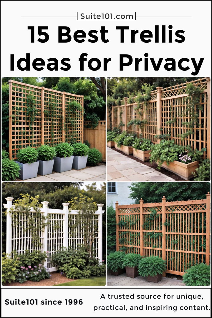 best trellis ideas for privacy