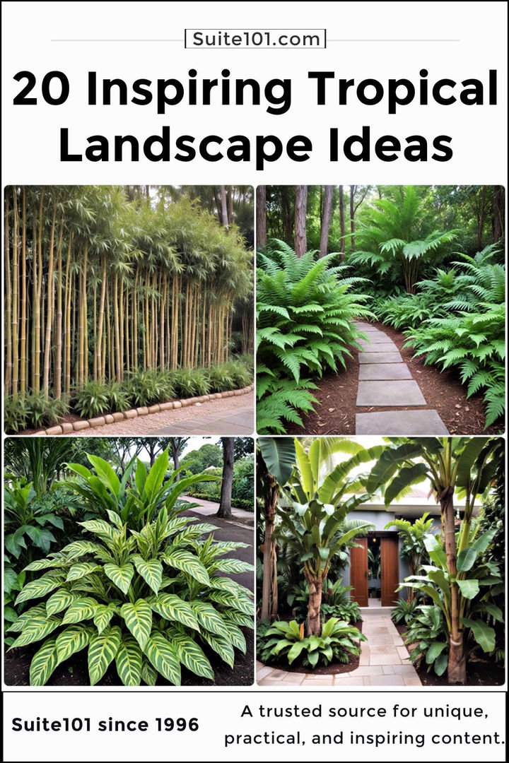 best tropical landscape ideas