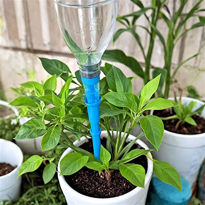 install an auto drip watering system