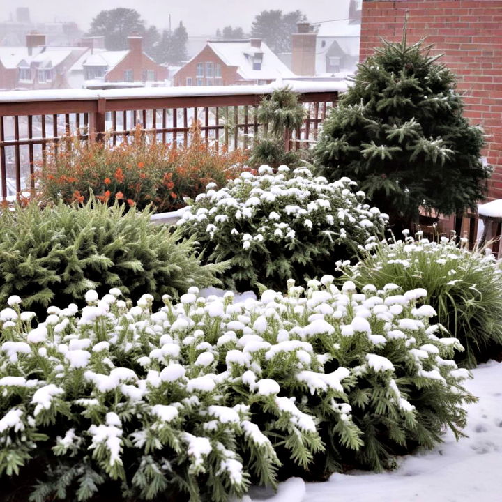 rooftop snow garden