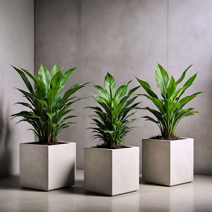 sleek concrete planters for industrial decor