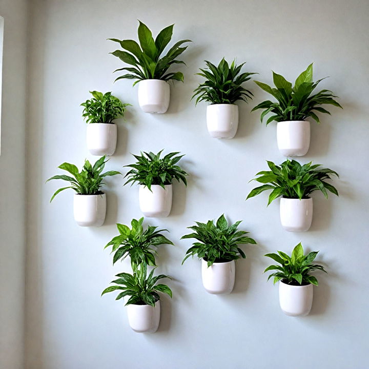 wall mounted plant display
