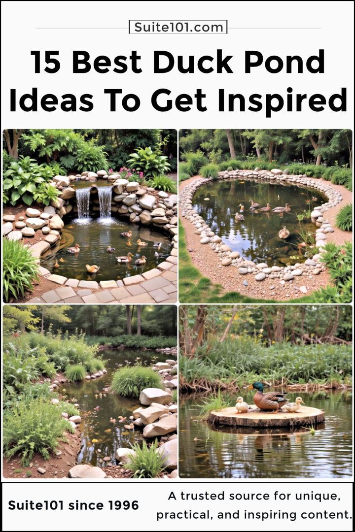 best duck pond ideas