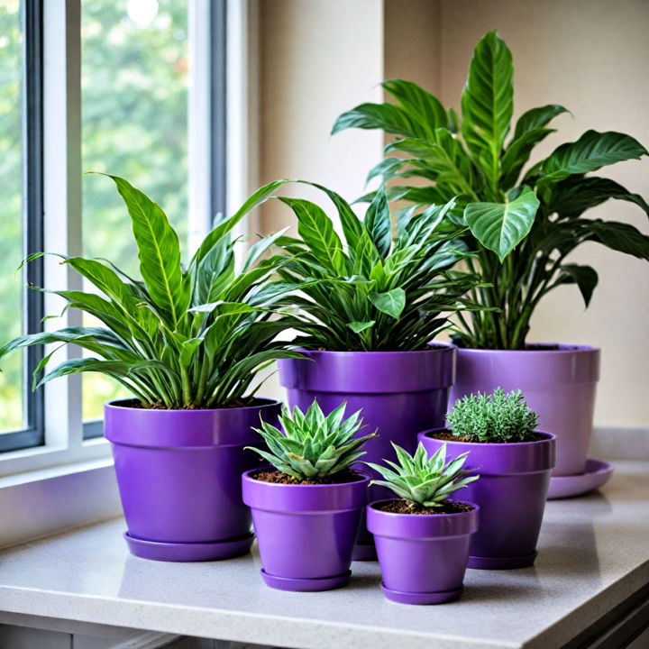 green plants in purple pots