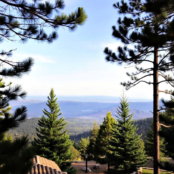 frame scenic views with pine trees