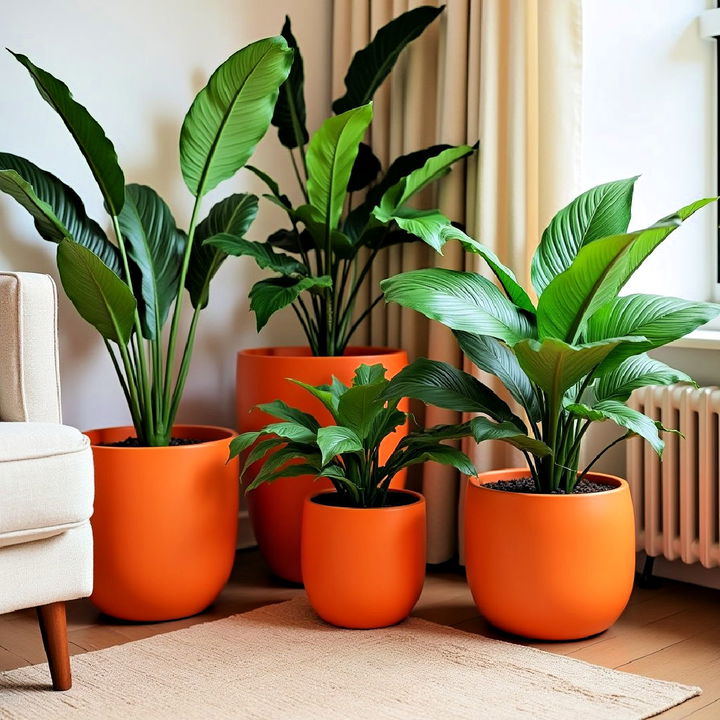 orange planters to bring energy and freshness