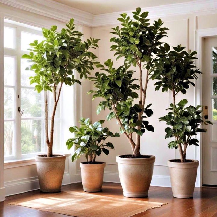 potted trees to simulate the outdoors