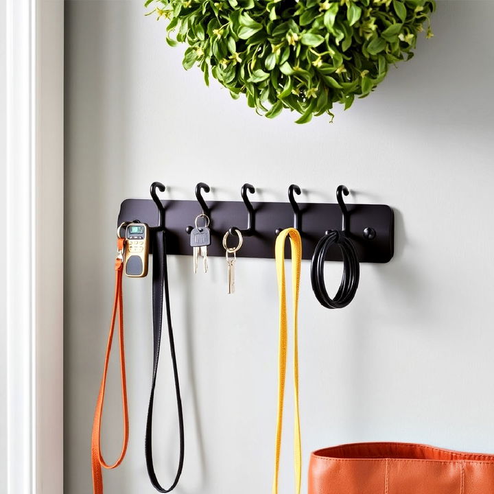 stylish entryway key and leash rack