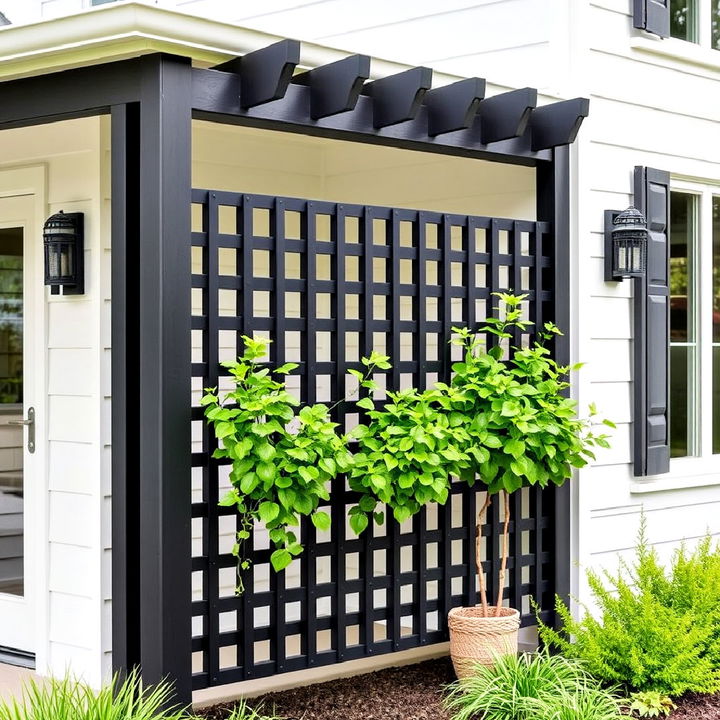 black trellis for a statement garden feature