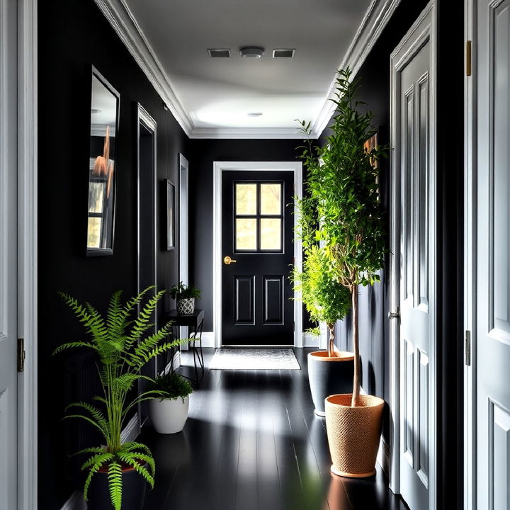 refreshing and vibrantplant decor for a black hallway