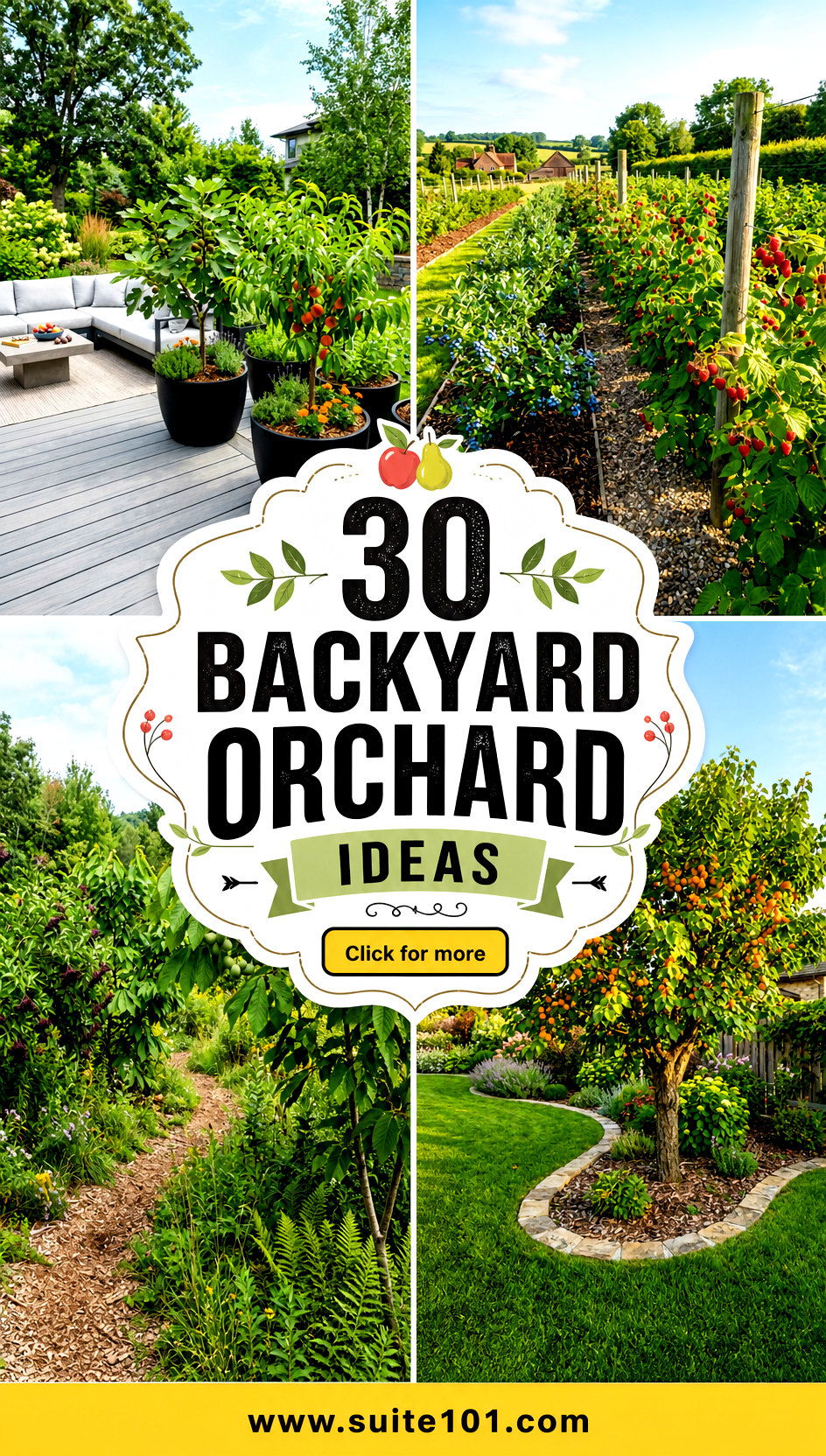 30 Backyard Orchard Ideas to Grow Fruit Trees in Your Yard - 30 Backyard Orchard Ideas to Grow Fruit Trees in Your Yard