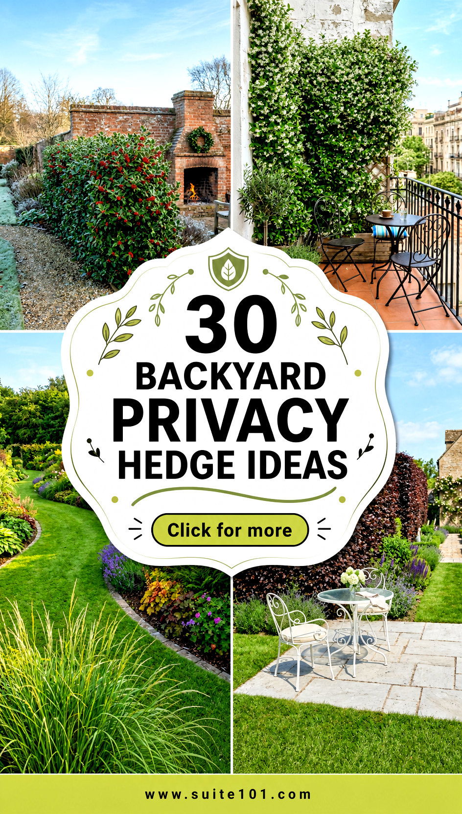 30 Backyard Privacy Hedge Ideas for Maximum Seclusion Today - 30 Backyard Privacy Hedge Ideas for Maximum Seclusion Today