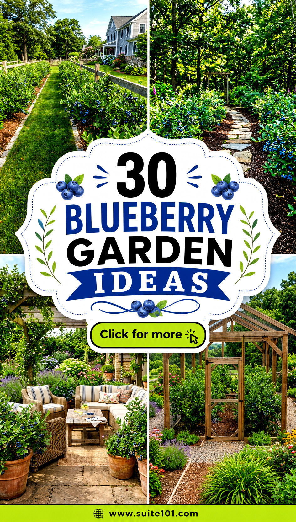 30 Blueberry Garden Ideas to Grow Juicy Berries All Season - 30 Blueberry Garden Ideas to Grow Juicy Berries All Season
