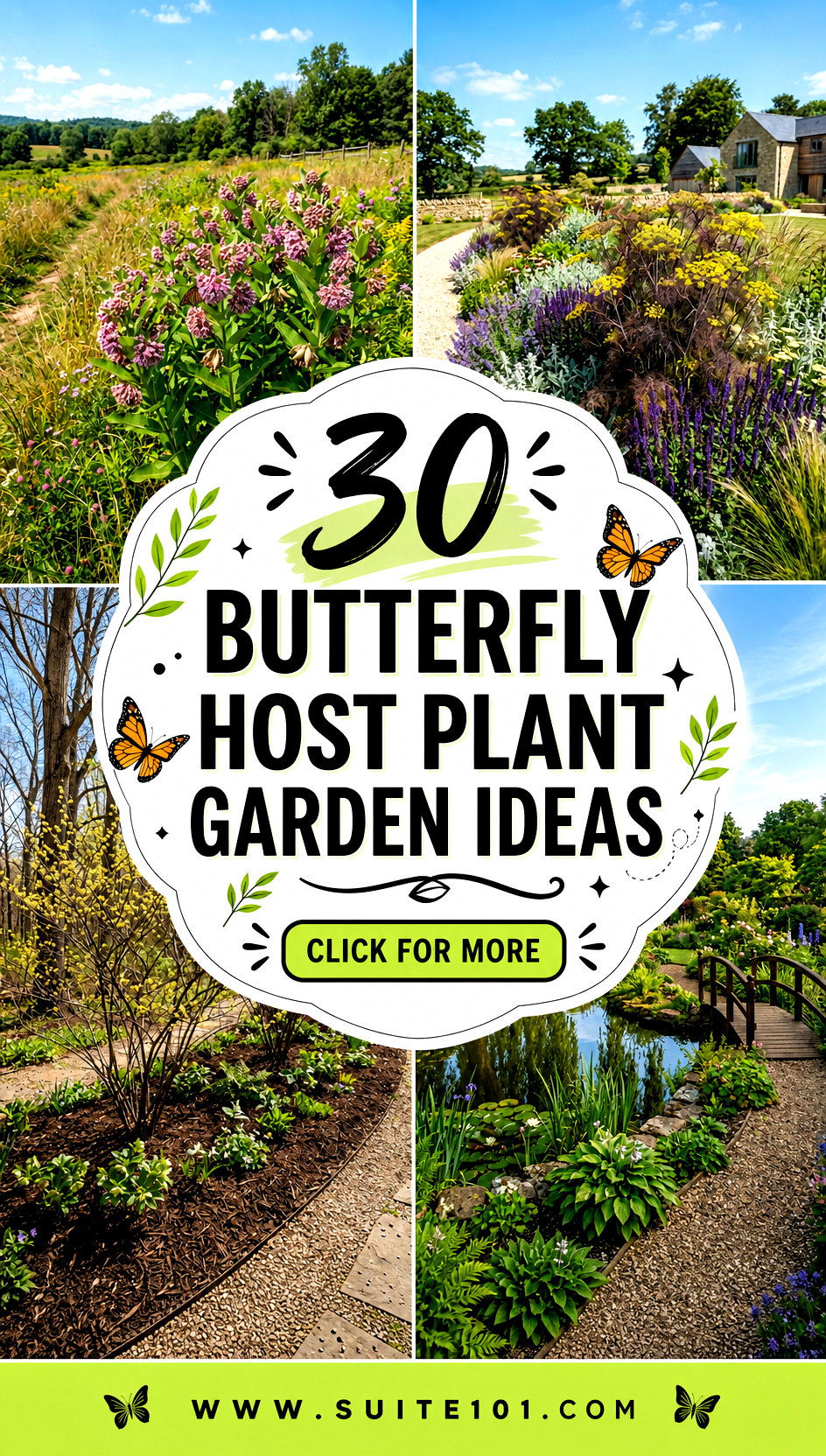 30 Butterfly Host Plant Garden Ideas to Help Caterpillars Thrive - 30 Butterfly Host Plant Garden Ideas to Help Caterpillars Thrive