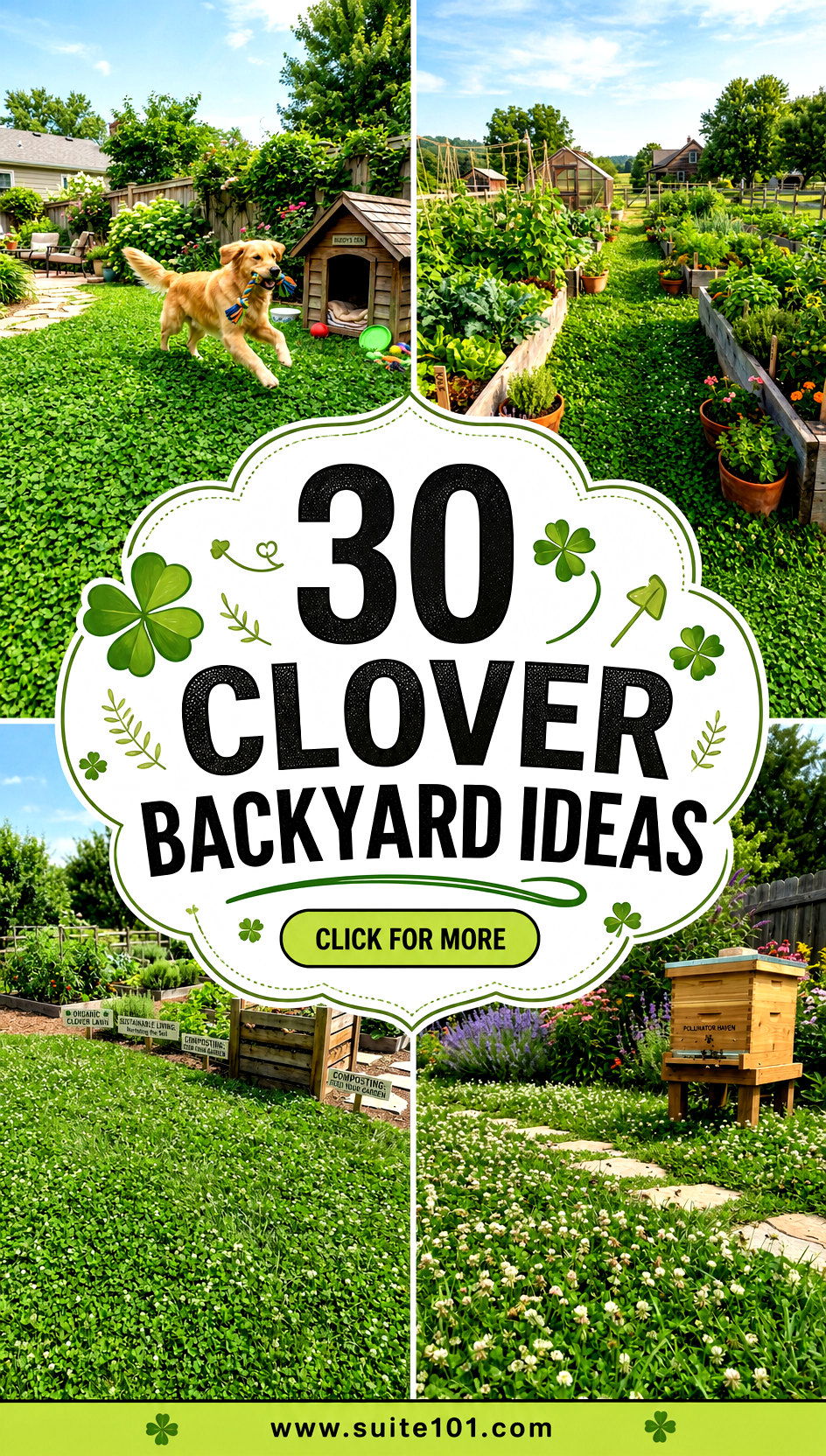 30 Clover Backyard Ideas for a Low-Maintenance Eco Yard - 30 Clover Backyard Ideas for a Low-Maintenance, Eco Yard