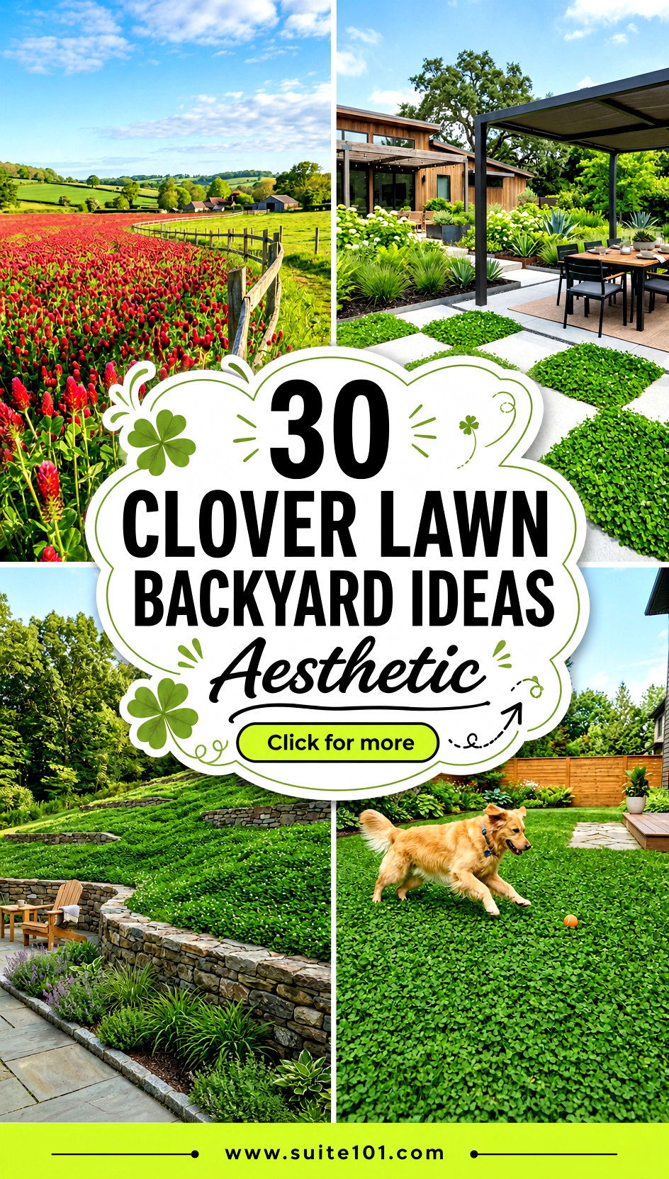 30 Clover Lawn Backyard Ideas Aesthetic for a Fresh Green Yard - 30 Clover Lawn Backyard Ideas Aesthetic for a Fresh Green Yard