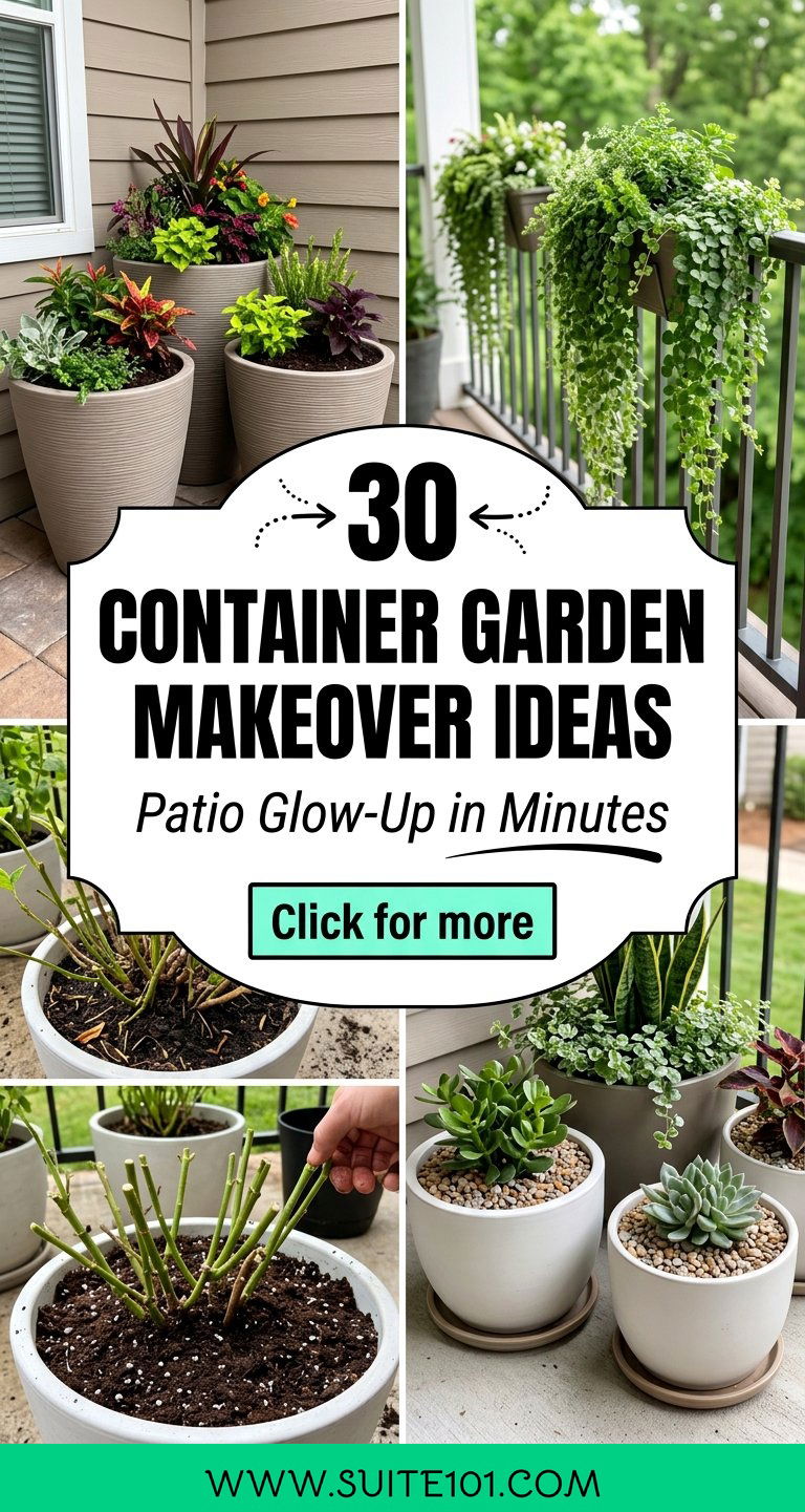 30 Container Garden Makeover Ideas to Transform Any Patio - 30 Container Garden Makeover Ideas to Transform Any Patio