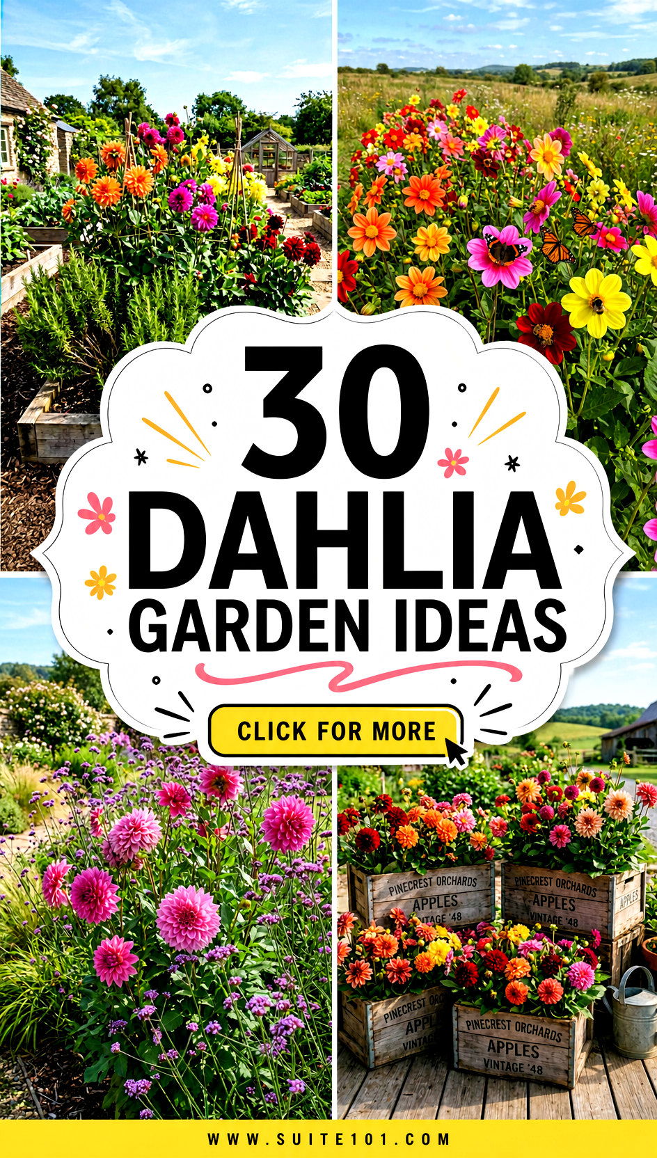 30 Dahlia Garden Ideas for Stunning Color From Spring to Frost - 30 Dahlia Garden Ideas for Stunning Color From Spring to Frost