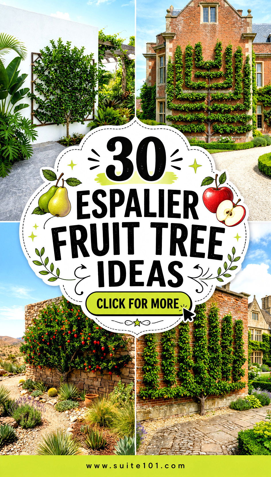 30 Espalier Fruit Tree Ideas for Stunning Space-Saving Walls - 30 Espalier Fruit Tree Ideas for Stunning Space-Saving Walls