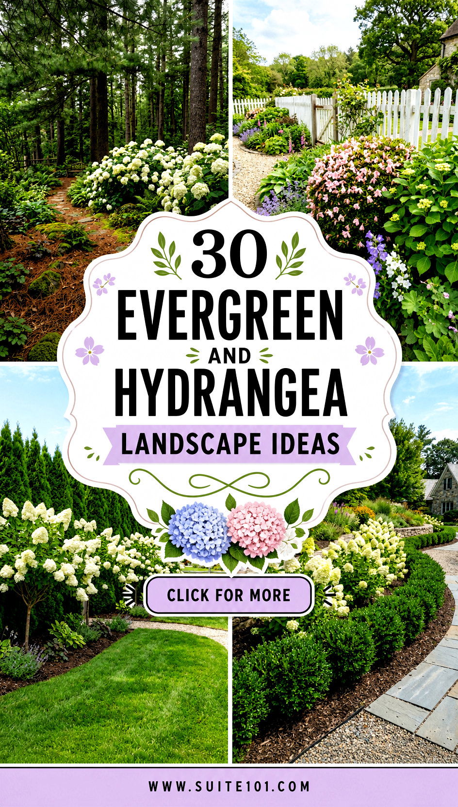 30 Evergreen And Hydrangea Landscape Ideas for Year-Round Color - 30 Evergreen And Hydrangea Landscape Ideas for Year-Round Color