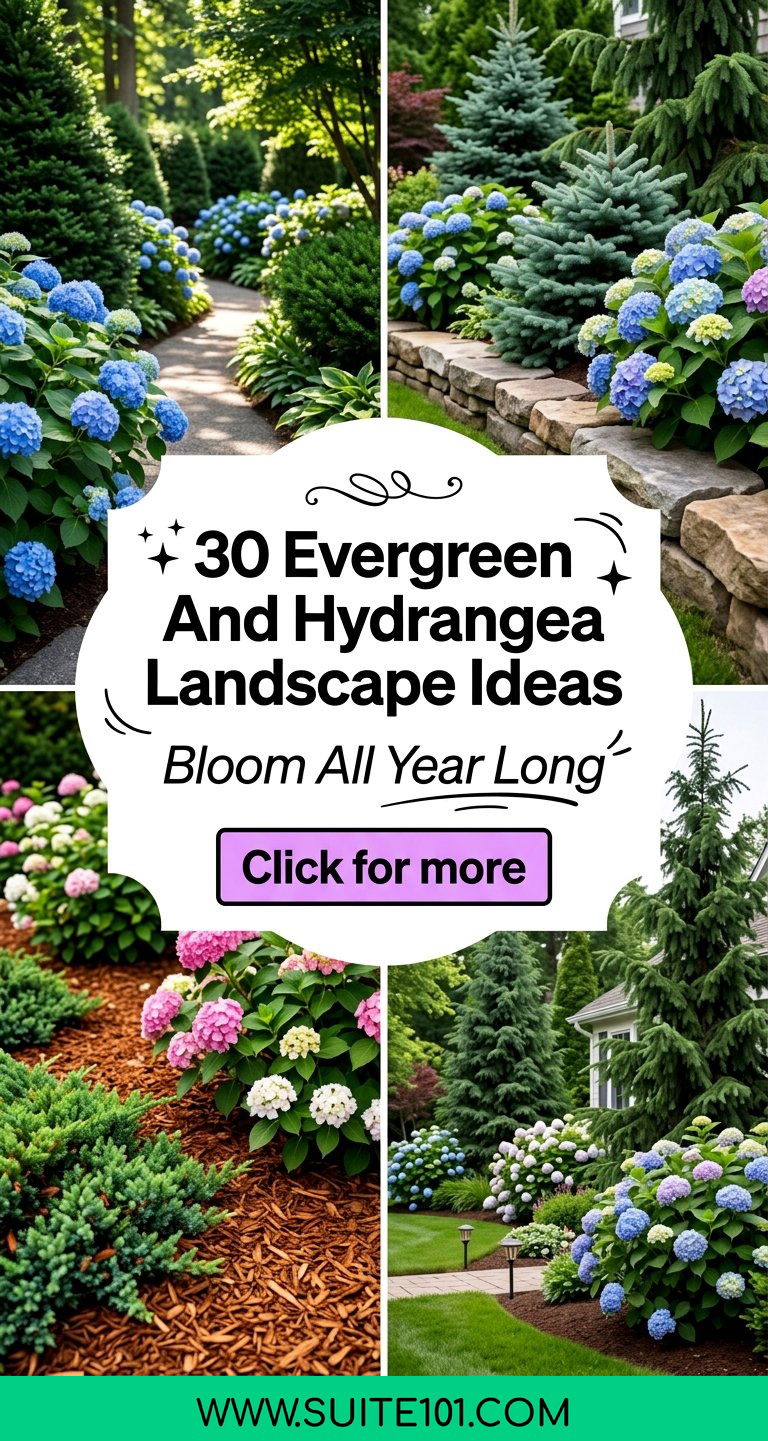 30 Evergreen And Hydrangea Landscape Ideas for Year-Round Color - 30 Evergreen And Hydrangea Landscape Ideas for Year-Round Color