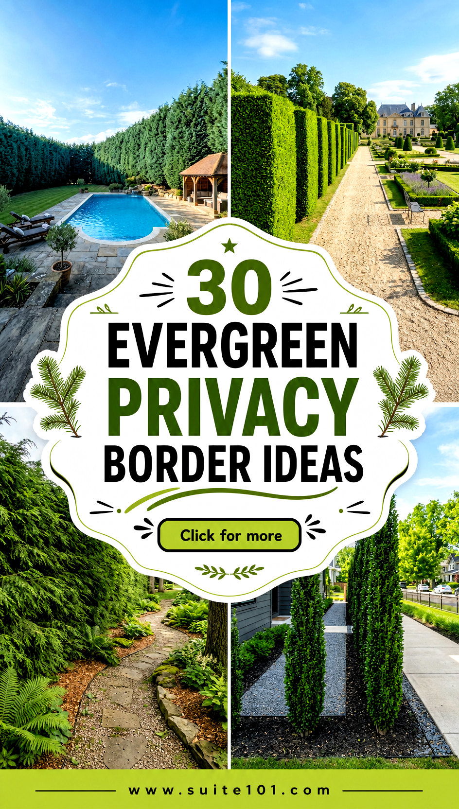 30 Evergreen Privacy Border Ideas for Fast Natural Screening - 30 Evergreen Privacy Border Ideas for Fast, Natural Screening