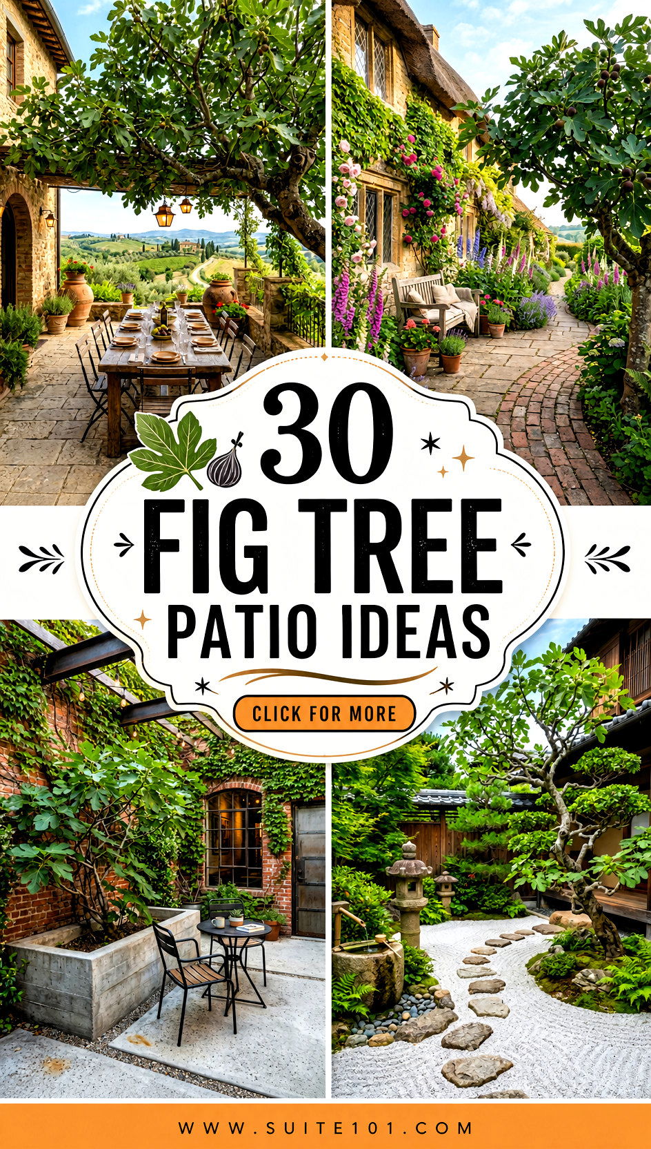 30 Fig Tree Patio Ideas Create a Mediterranean Patio Retreat - 30 Fig Tree Patio Ideas: Create a Mediterranean Patio Retreat