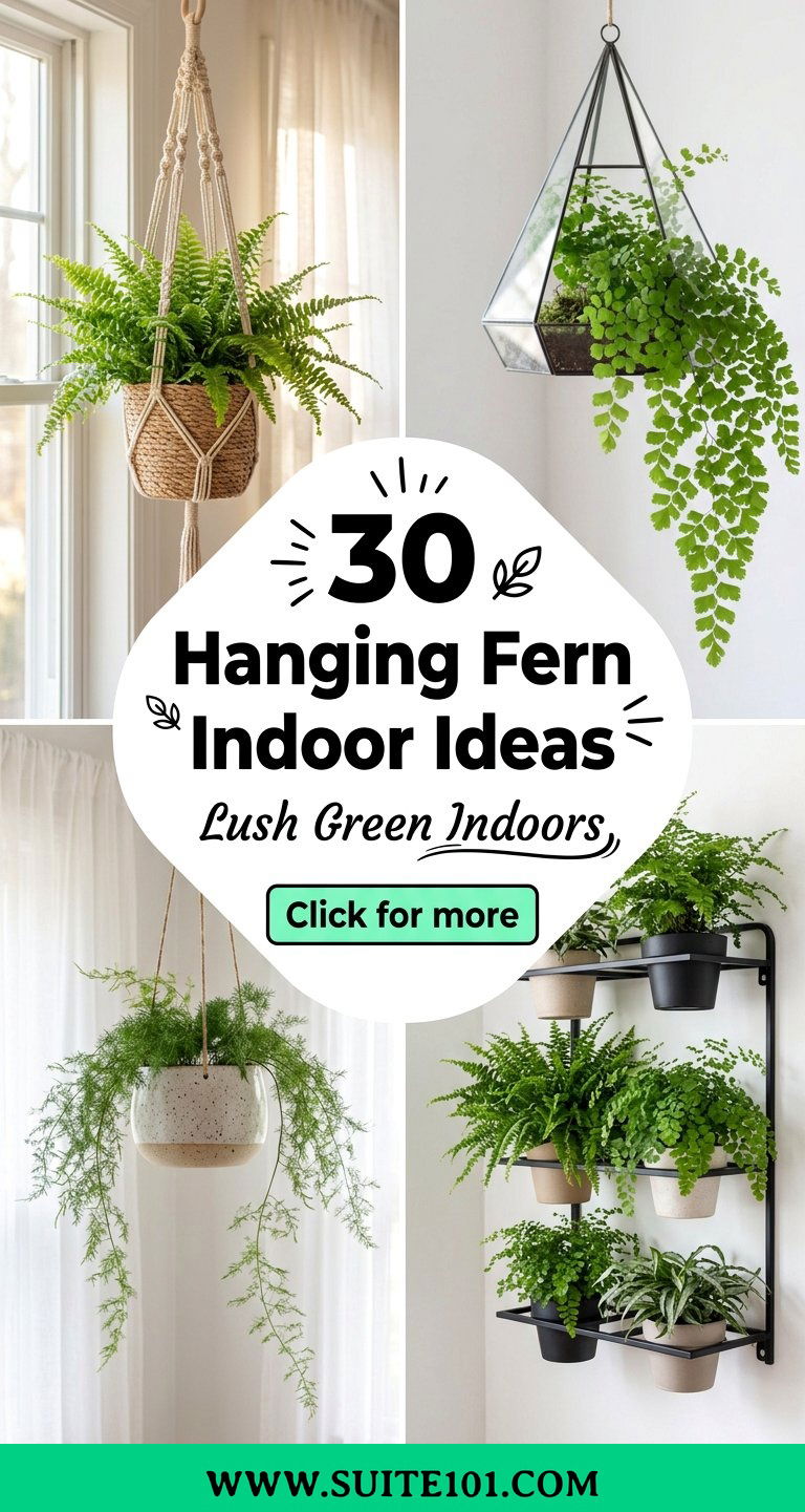 30 Hanging Fern Indoor Ideas to Bring Lush Green to Any Room - 30 Hanging Fern Indoor Ideas to Bring Lush Green to Any Room