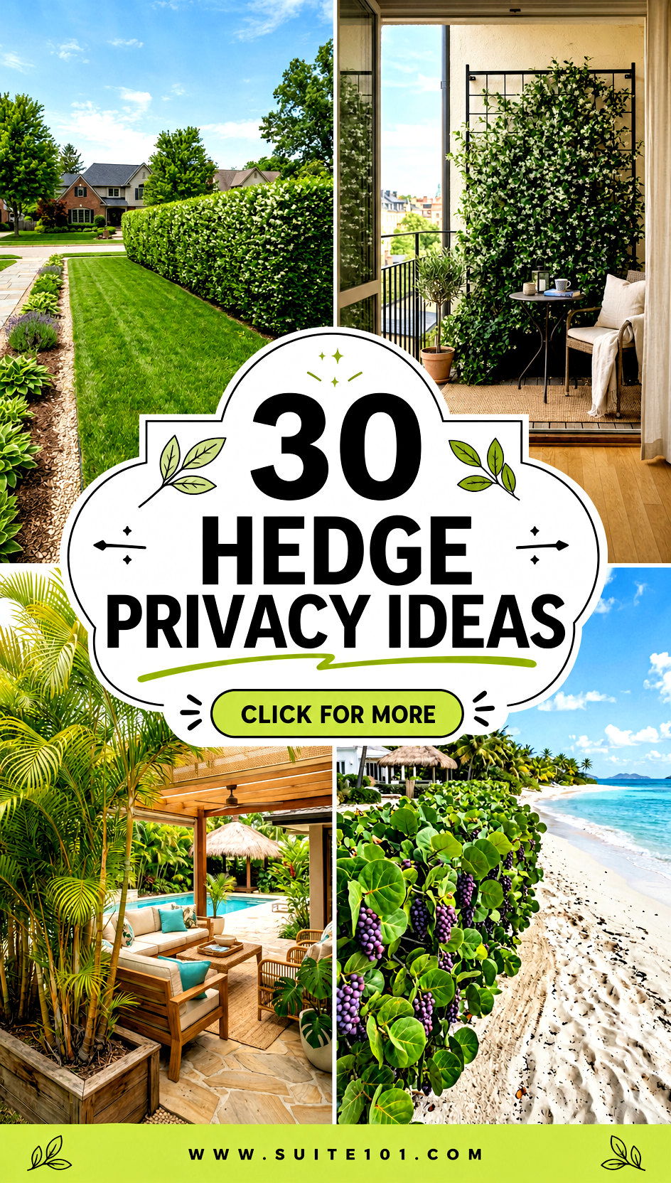 30 Hedge Privacy Ideas for a Lush Screened-In Yard Escape - 30 Hedge Privacy Ideas for a Lush, Screened-In Yard Escape