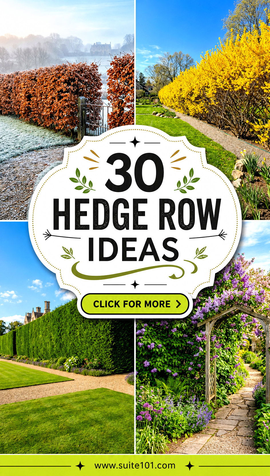 30 Hedge Row Ideas to Create Seamless Borders and Privacy - 30 Hedge Row Ideas to Create Seamless Borders and Privacy