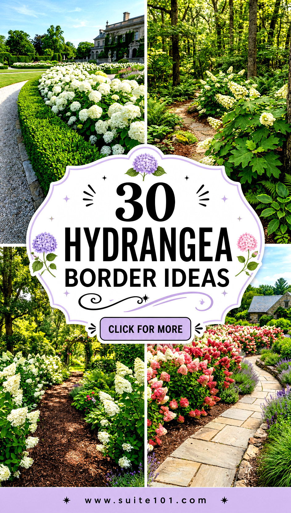 30 Hydrangea Border Ideas for Blooms and Stunning Curb Appeal - 30 Hydrangea Border Ideas for Blooms and Stunning Curb Appeal
