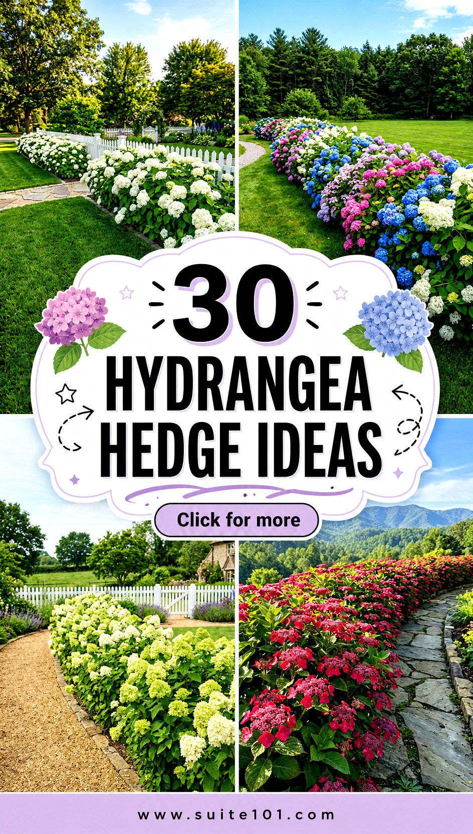 30 Hydrangea Hedge Ideas Lush Privacy With Style for Any Garden - 30 Hydrangea Hedge Ideas: Lush Privacy With Style for Any Garden