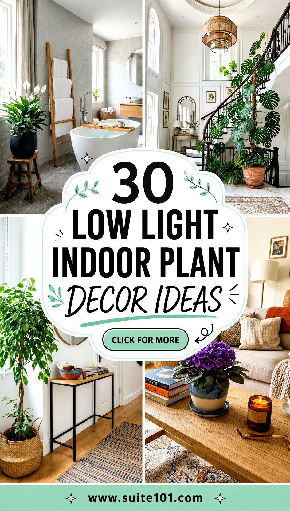 30 Low Light Indoor Plant Decor Ideas for Dark Corners - 30 Low Light Indoor Plant Decor Ideas for Dark Corners
