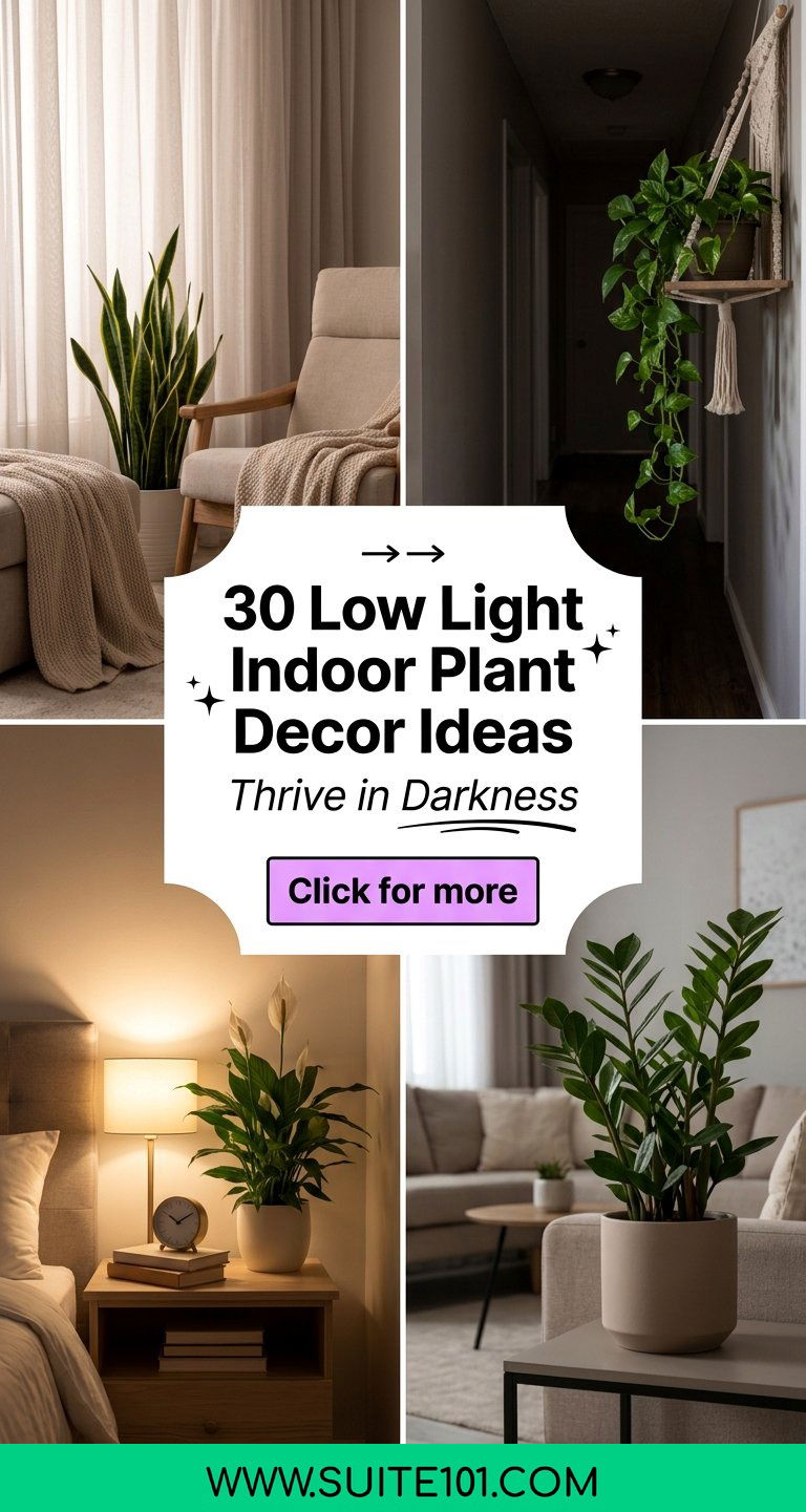 30 Low Light Indoor Plant Decor Ideas for Dark Corners - 30 Low Light Indoor Plant Decor Ideas for Dark Corners